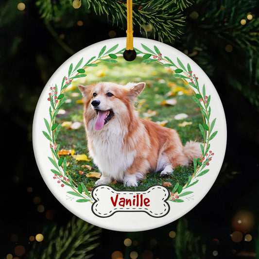 FR1_1effa65f 2341 4f3a 861f fe1feb48d846