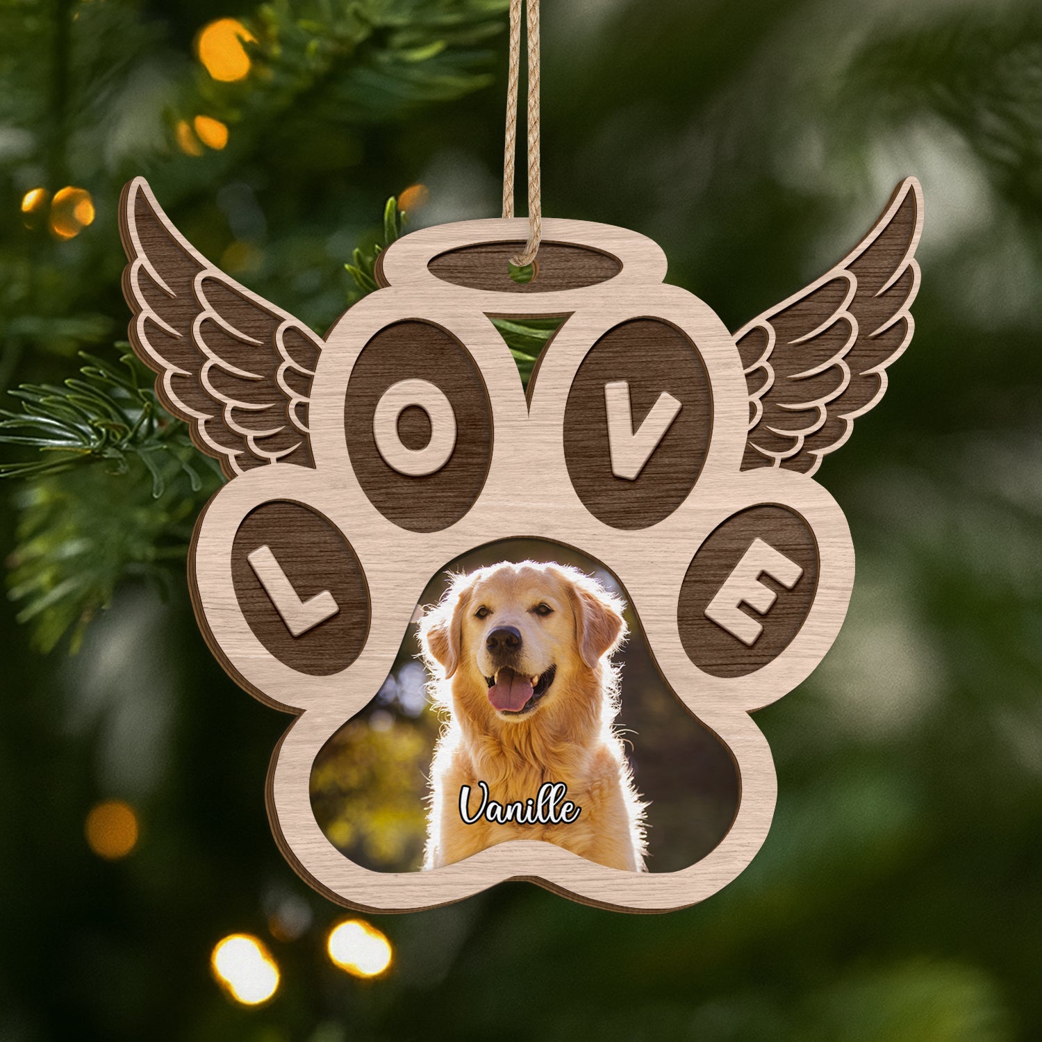 FR1_24df003f 8ea6 41c4 a159 111eb0c1c5a0