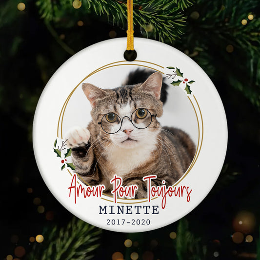 FR1_39a4807a afa9 4adf a5f9 ac2ba6345582