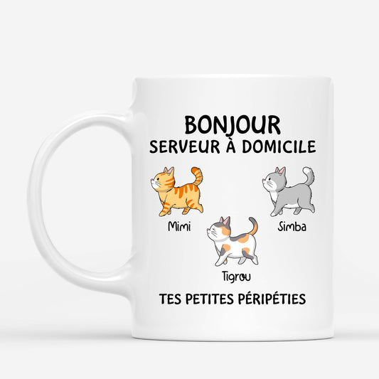 FR1_4c4e419b 0d0d 43f1 8eba caeff36d1088