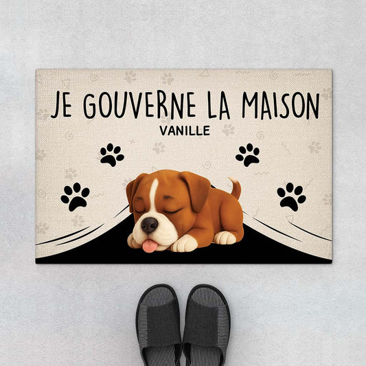 FR1_ae4dc8f3 31ea 42ee 90ff aa583d6025aa