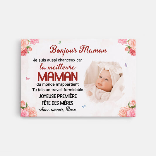 FR1_f070a54f eb2a 4299 9e4c 0ee6b632ae44