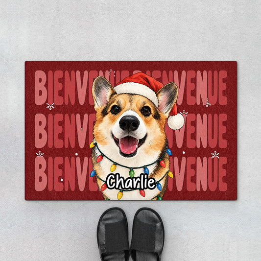 FR1_f6923148 7102 4870 b3e3 2daf903a79ee