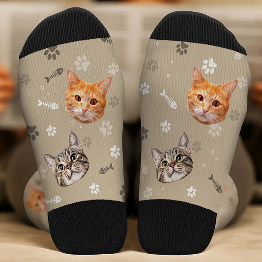 FR2_8ea5c70f 6c29 4ff3 989a c4fb2a5e36ab