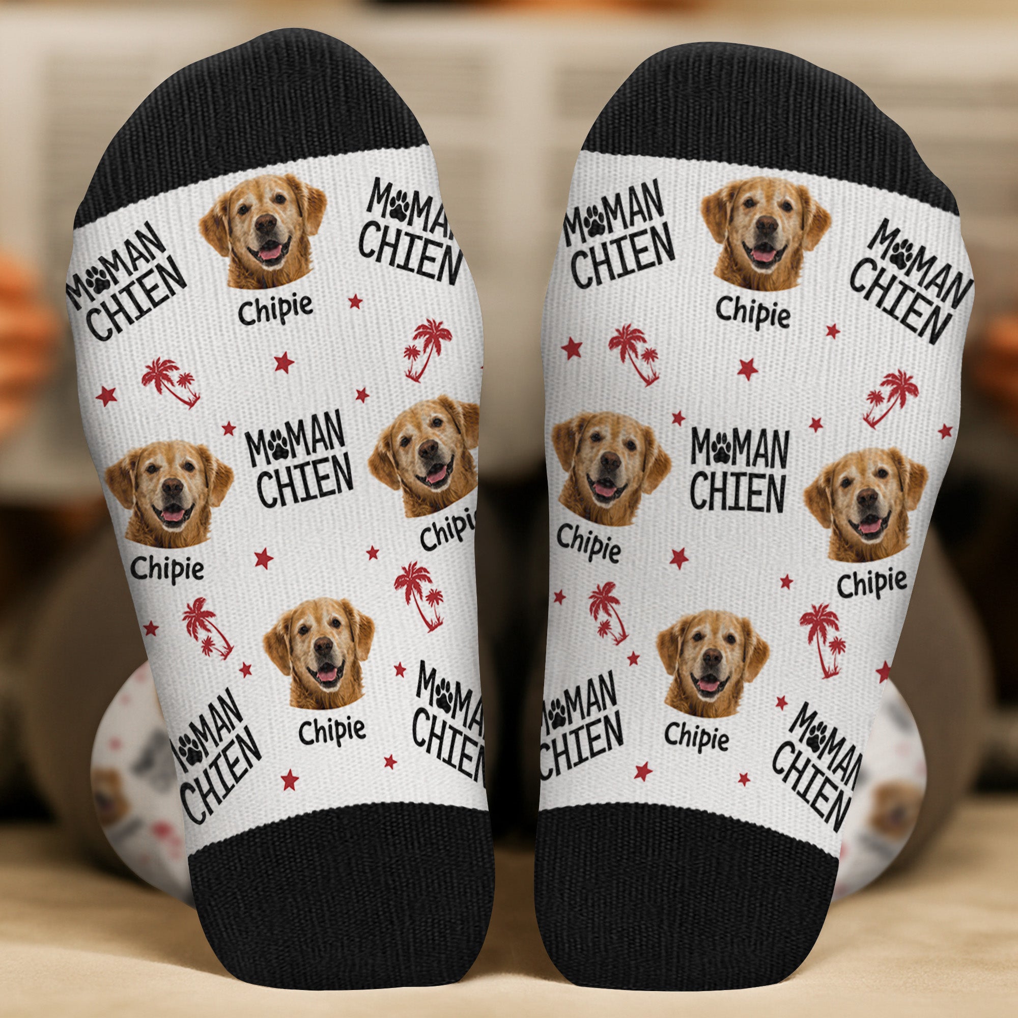 FR2_b427b11a 7390 475d bd65 28aeabf14ced