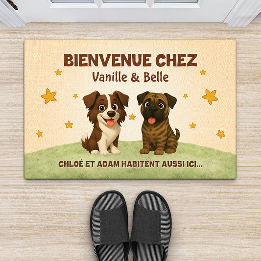 FR2_c955d949 8627 4a60 8265 b7948c22efc9