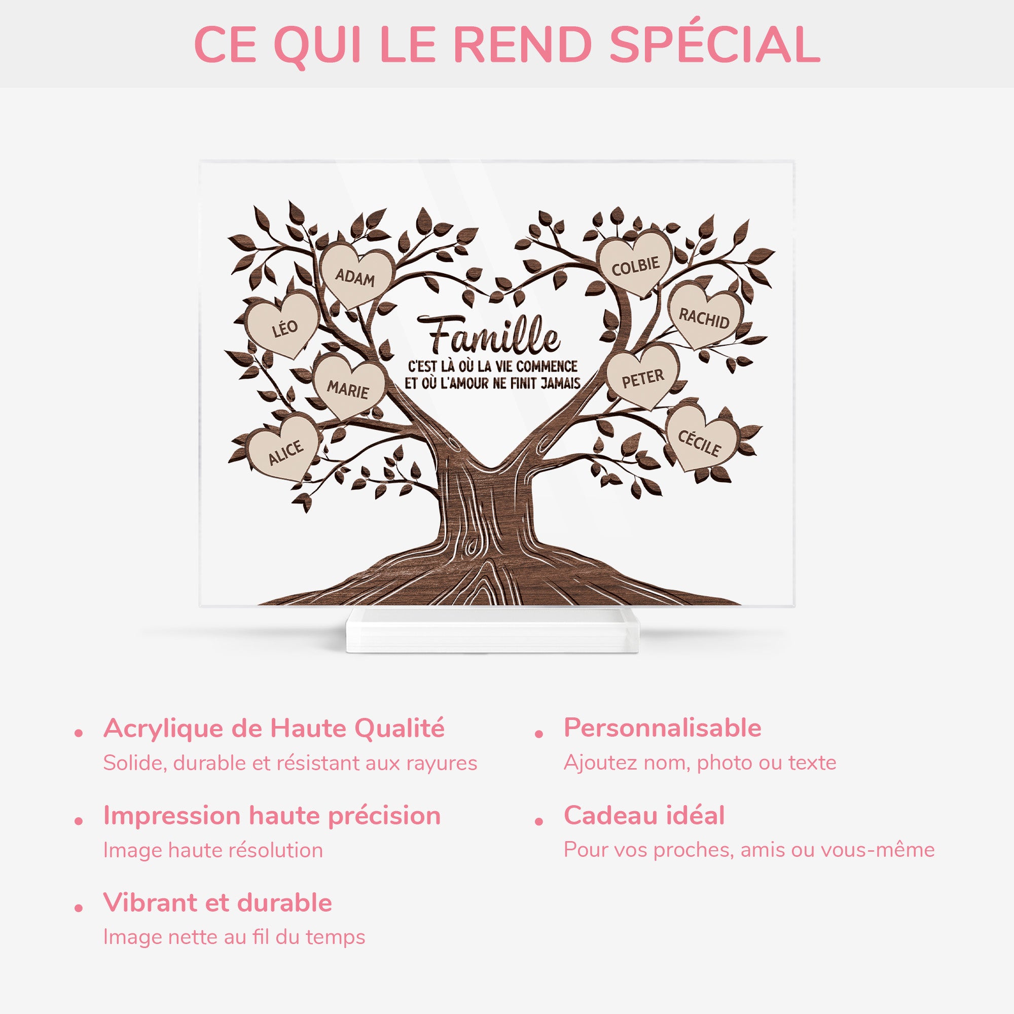 FR5_8a6290f8 18ed 4948 8963 bea0c67f3ab6