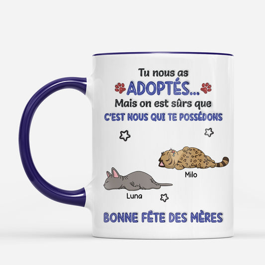 meo_fr2_8f17925e 8f88 47b2 837e e7ce938e7a13