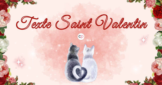 Texte Saint Valentin