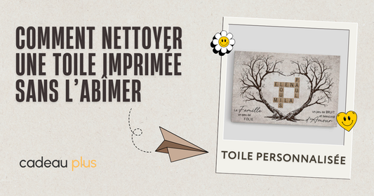 Comment Nettoyer Une Toile Imprimée Sans L’abîmer