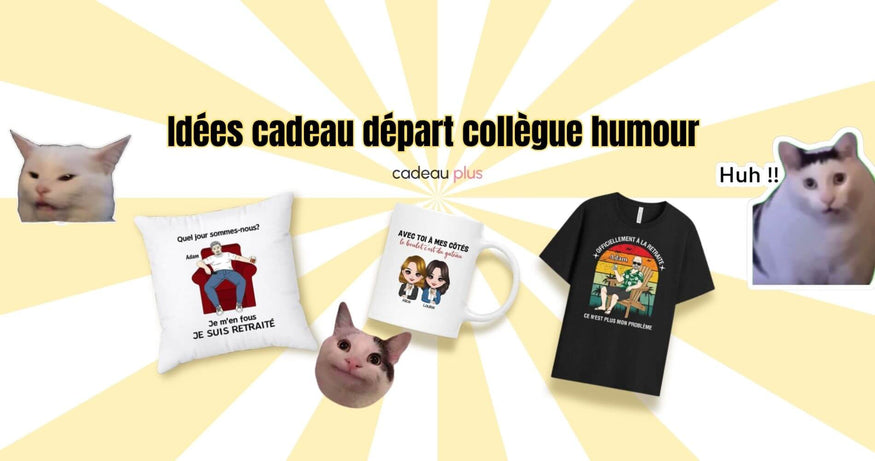 Idée Cadeau Départ Collègue Humour