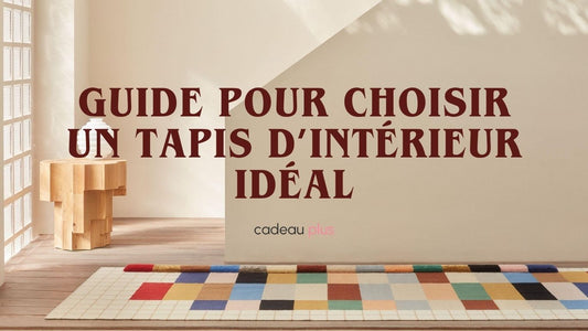 tapis entrée intérieur