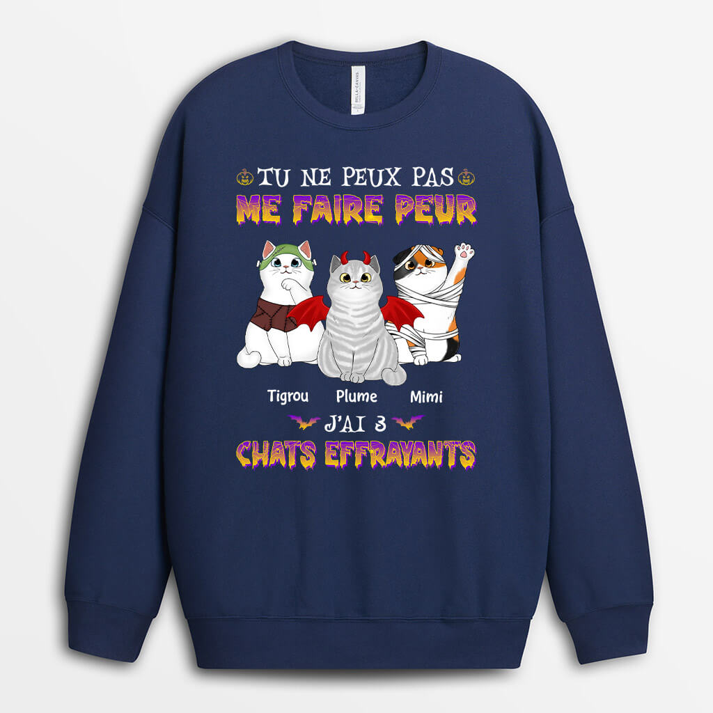 1336WFR2 sweatshirt tu ne peux pas me faire peur jai 4 chats effrayants personnalise