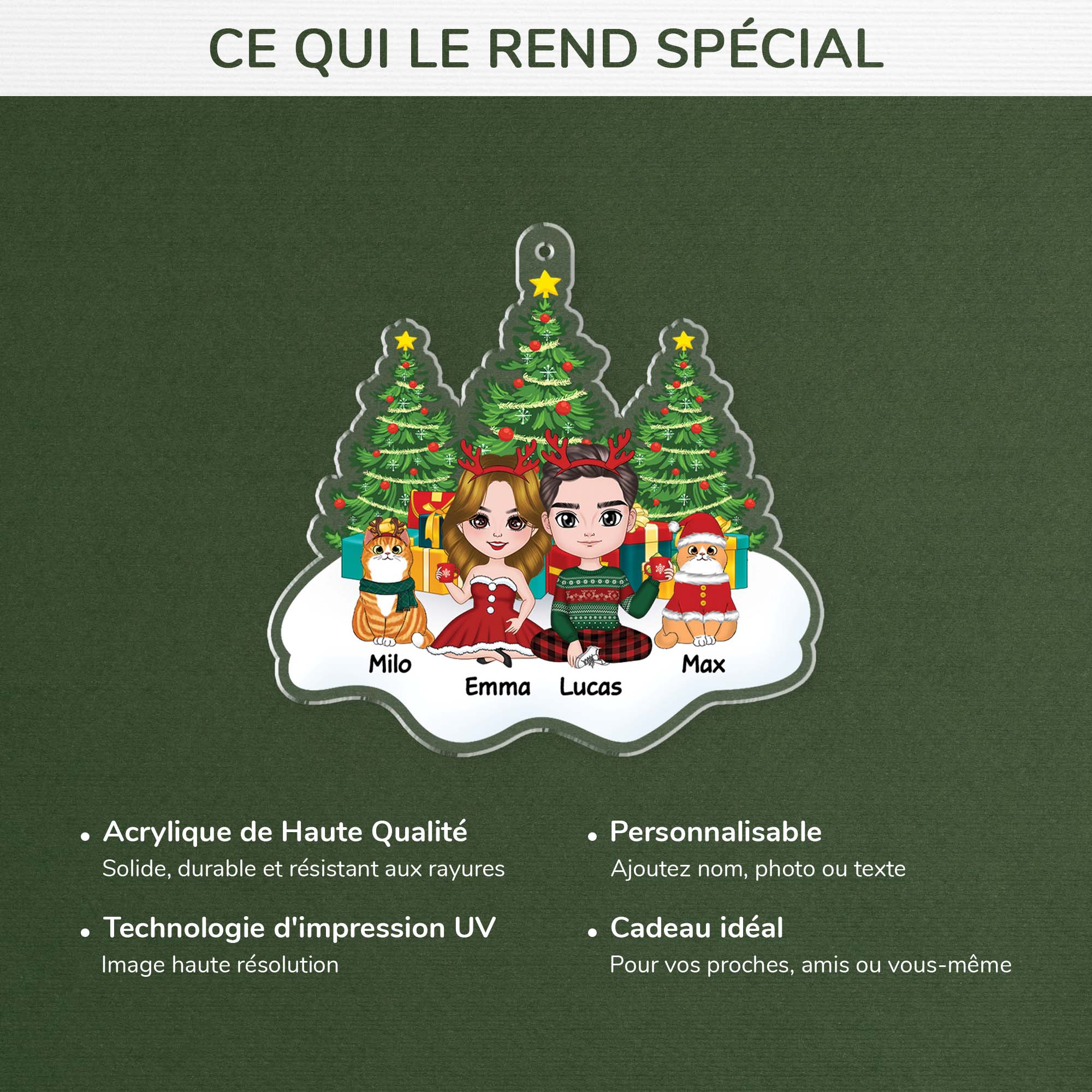 1406OFR4 ornement couple et chats assis sur la neige personnalise