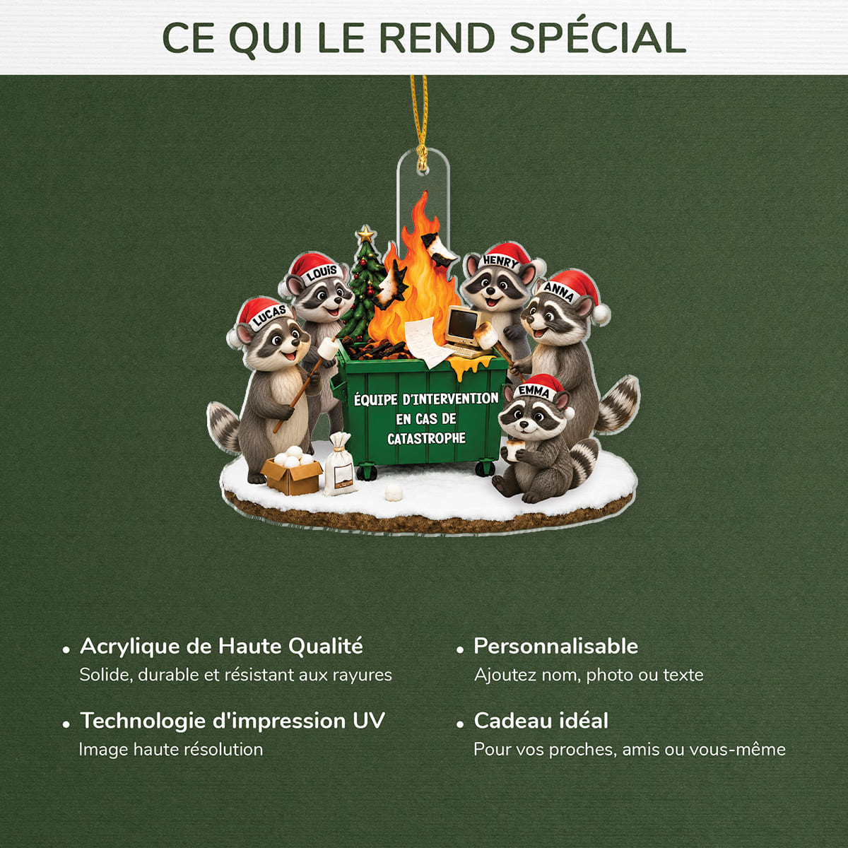 14147OH ProAcrylicOrnament CouFR RnDNone IdeHa NicDTBestSeller