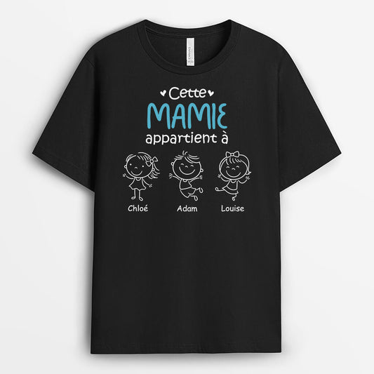 1617AFR1 t shirt cette mamie appartient a noir et blanc personnalise