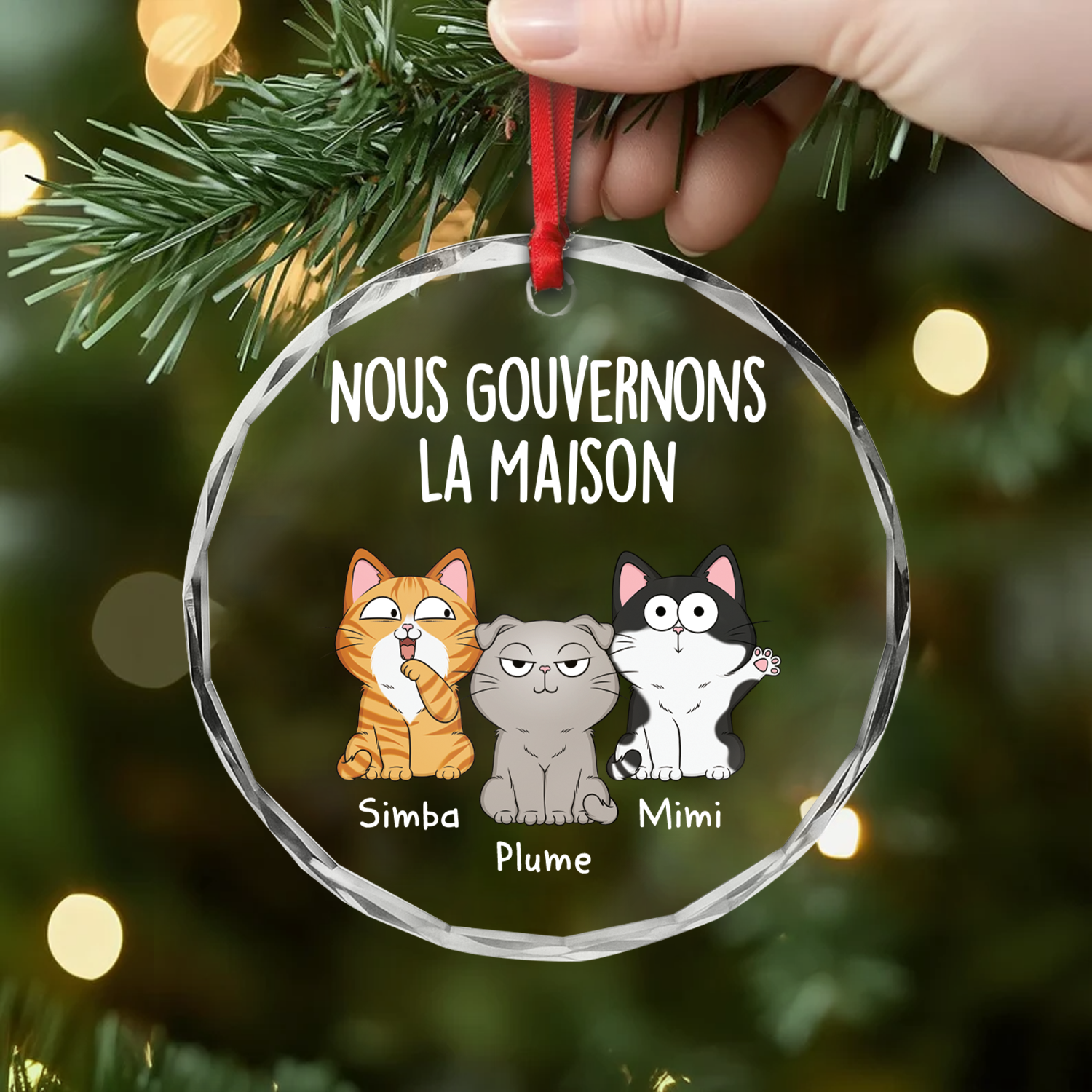 1662OFR2 ornement en verre personnalise on fait la loi a la maison 1662o3n8d