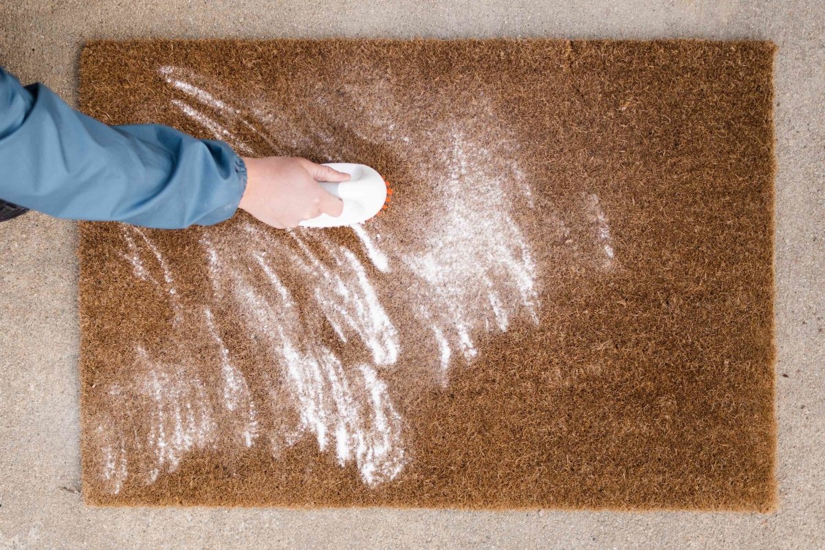 Faire pénétrer sur la surface du tapis