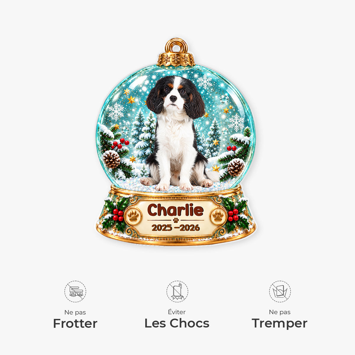 16729OA_FR5
