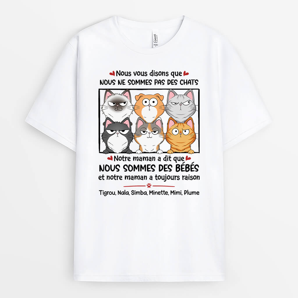 1926AFR1 t shirt nous vous disons que nous ne sommes pas des chats personnalise