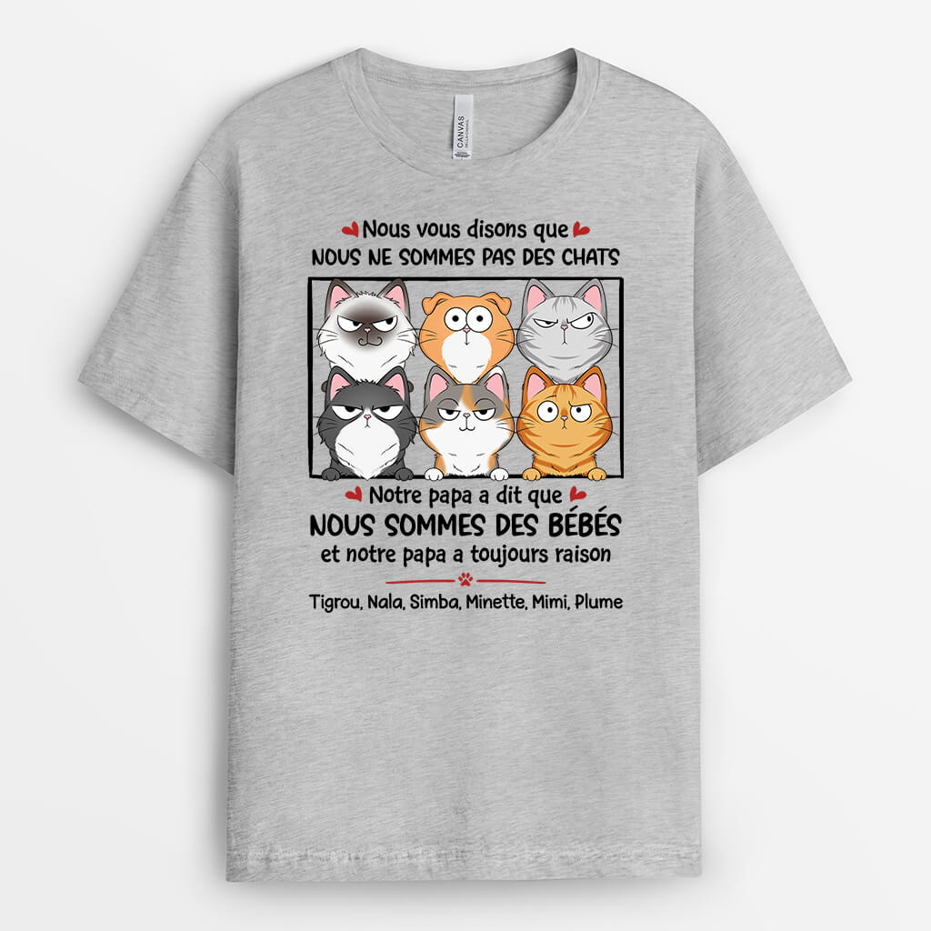 1926AFR2 t shirt nous vous disons que nous ne sommes pas des chats personnalise