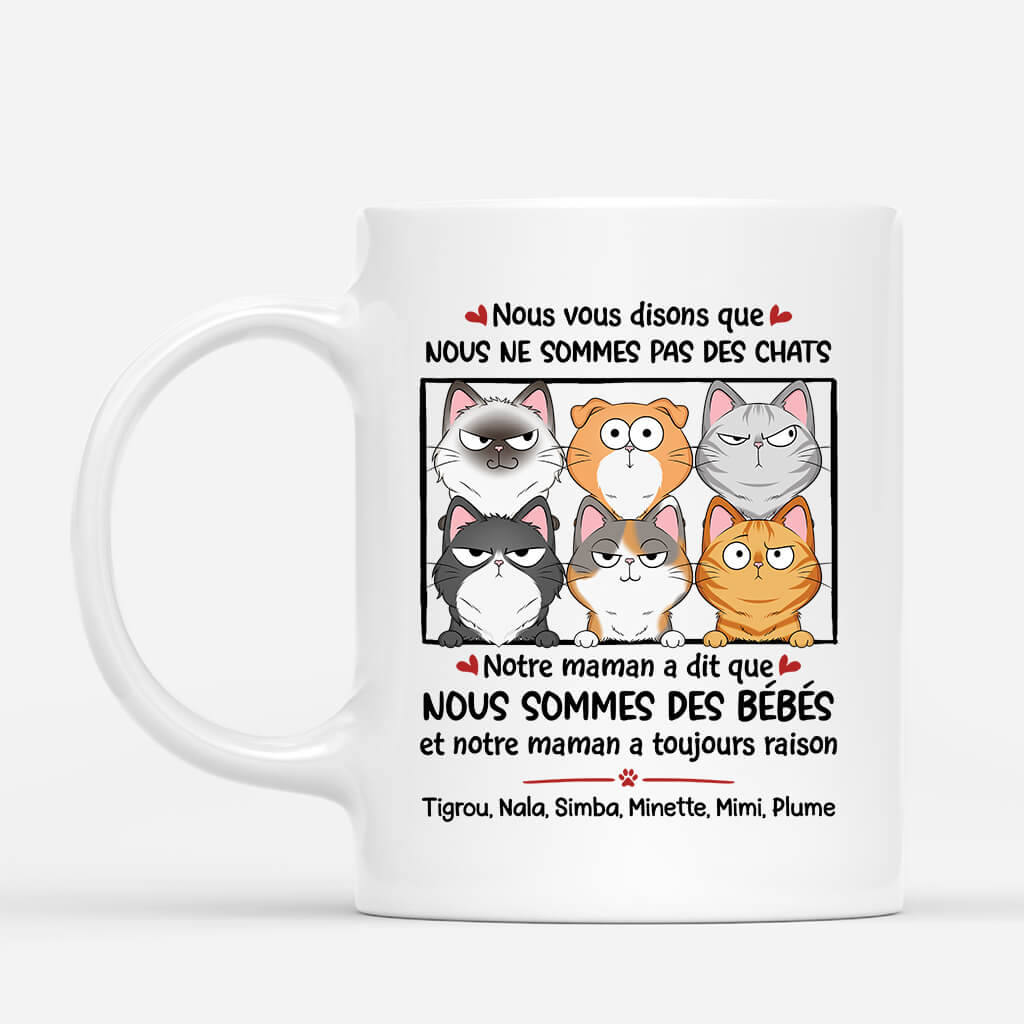 1926FR1 mug nous vous disons que nous ne sommes pas des chats personnalise