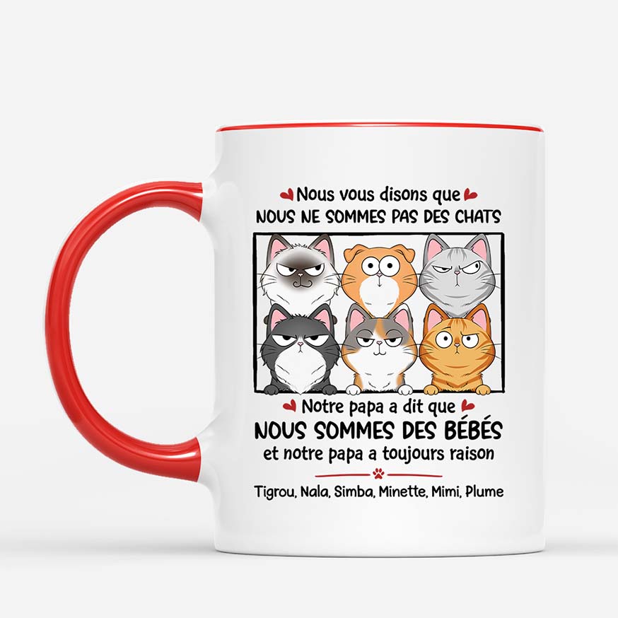 1926FR2 mug nous vous disons que nous ne sommes pas des chats personnalise_73f0f9c9 1e9f 4931 909e 4bf52b5fc3bd