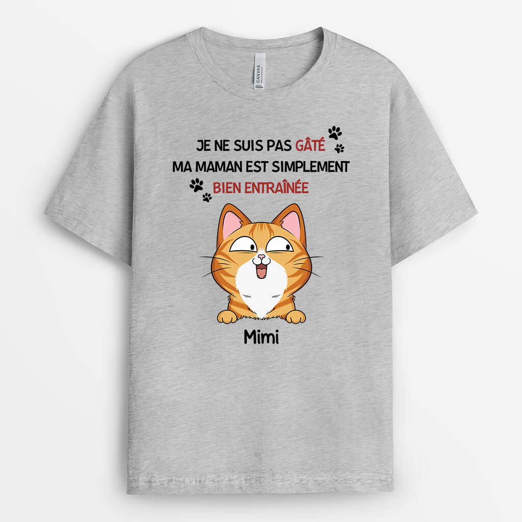 1929AFR1 t shirt je ne suis pas gate ma maman chat est simplement bien entrainee personnalise