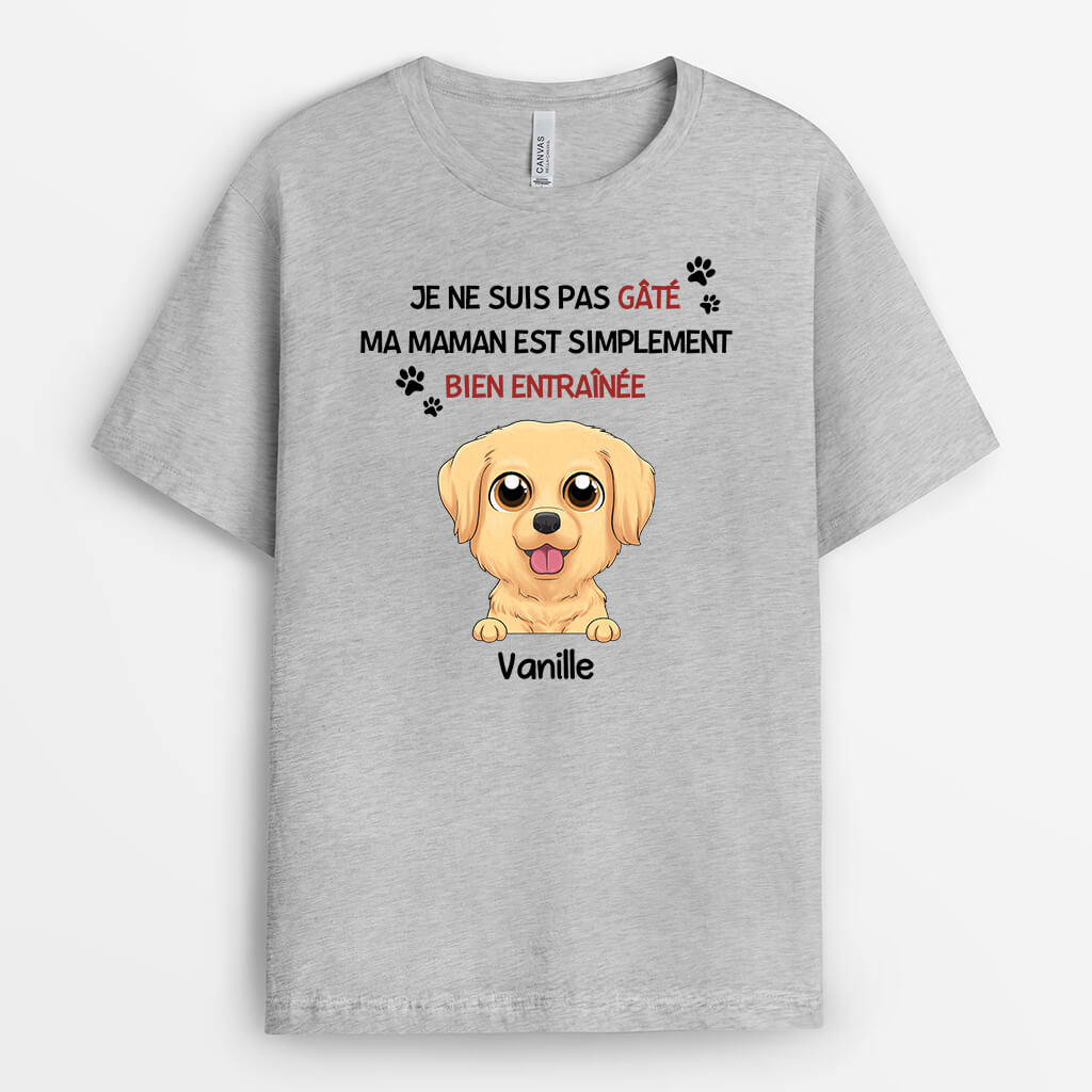 1929AFR1 t shirt je ne suis pas gate ma maman chien est simplement bien entrainee personnalise