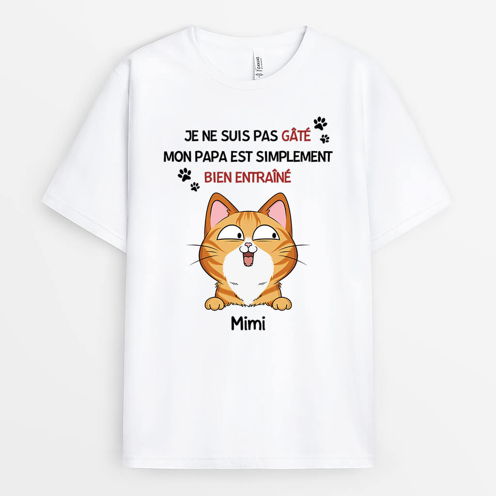 1929AFR2 t shirt je ne suis pas gate ma maman chat est simplement bien entrainee personnalise