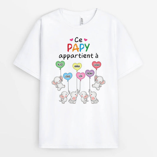 2215AFR1 t shirt ce papa papy appartient a version elephants ballons personnalise