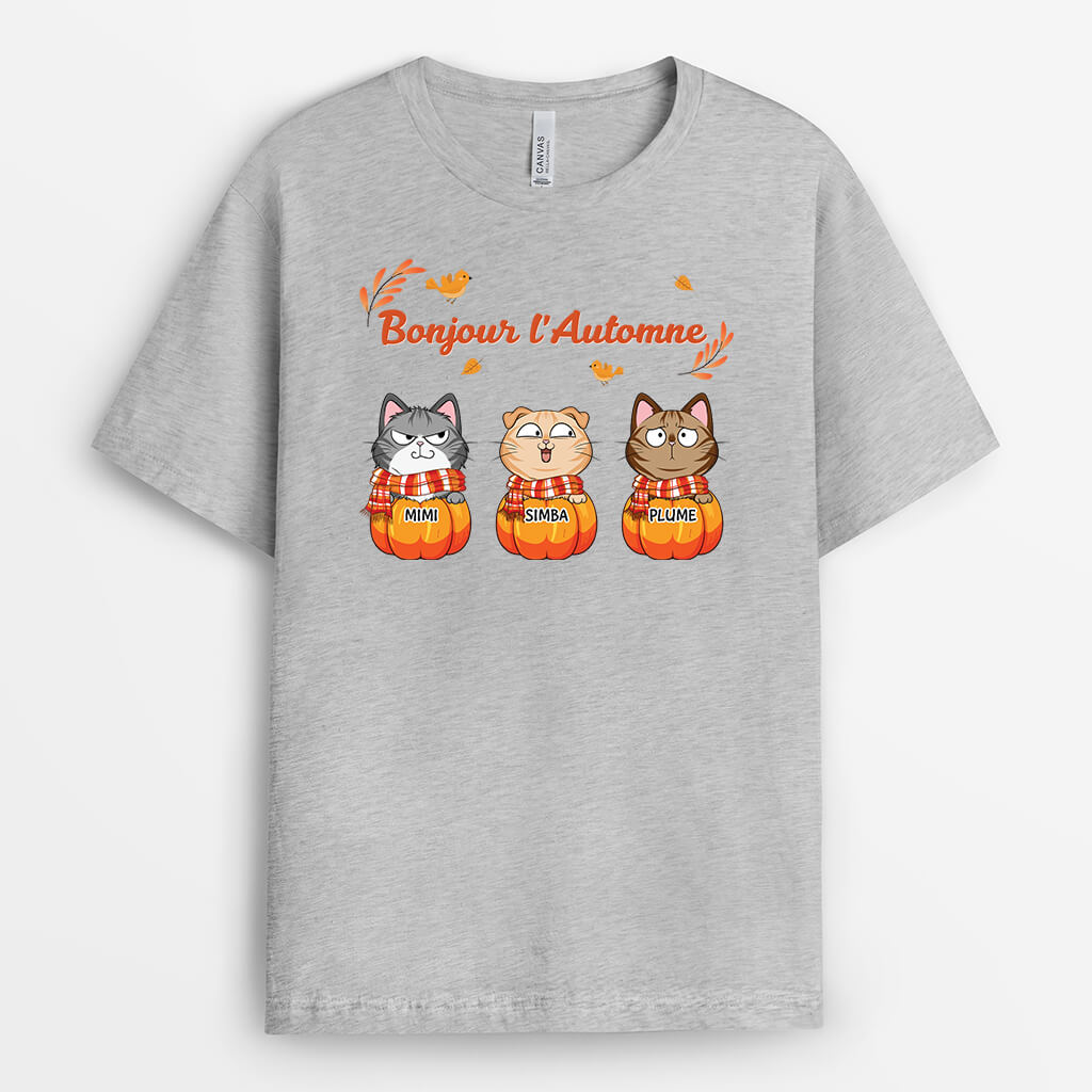 2724AFR2 bonjour lautomne version chats  t shirt personnalise avec chats