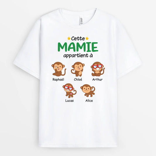 2743AFR1 cette maman appartient a version singes t shirt maman personnalise