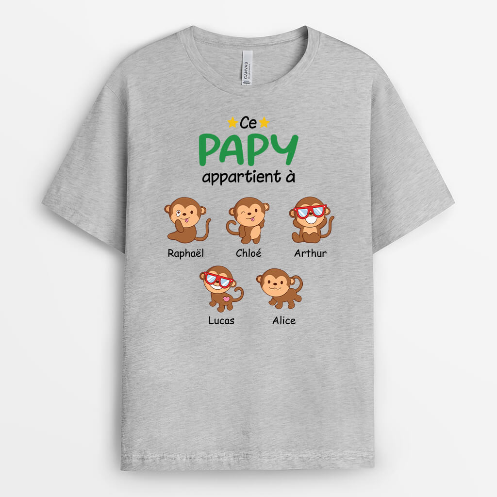 2743AFR2 cette maman appartient a version singes t shirt maman personnalise