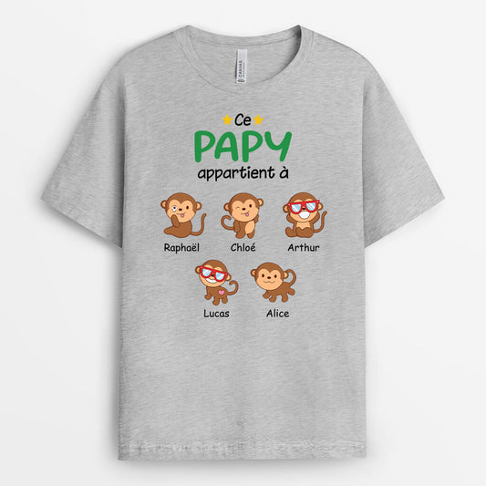 2743AFR2 cette maman appartient a version singes t shirt maman personnalise