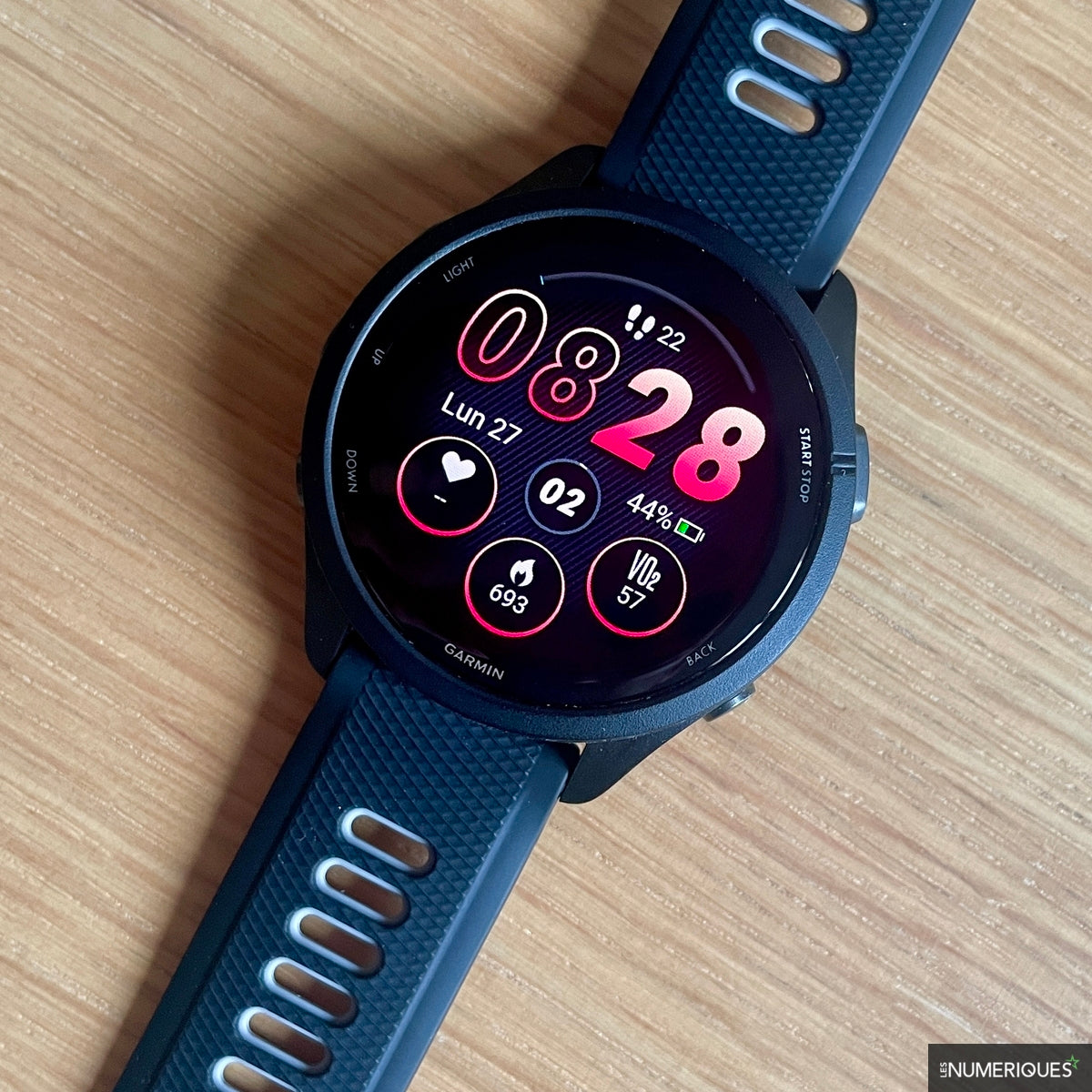 Montre GPS : Garmin Forerunner 255 (Fnac France)