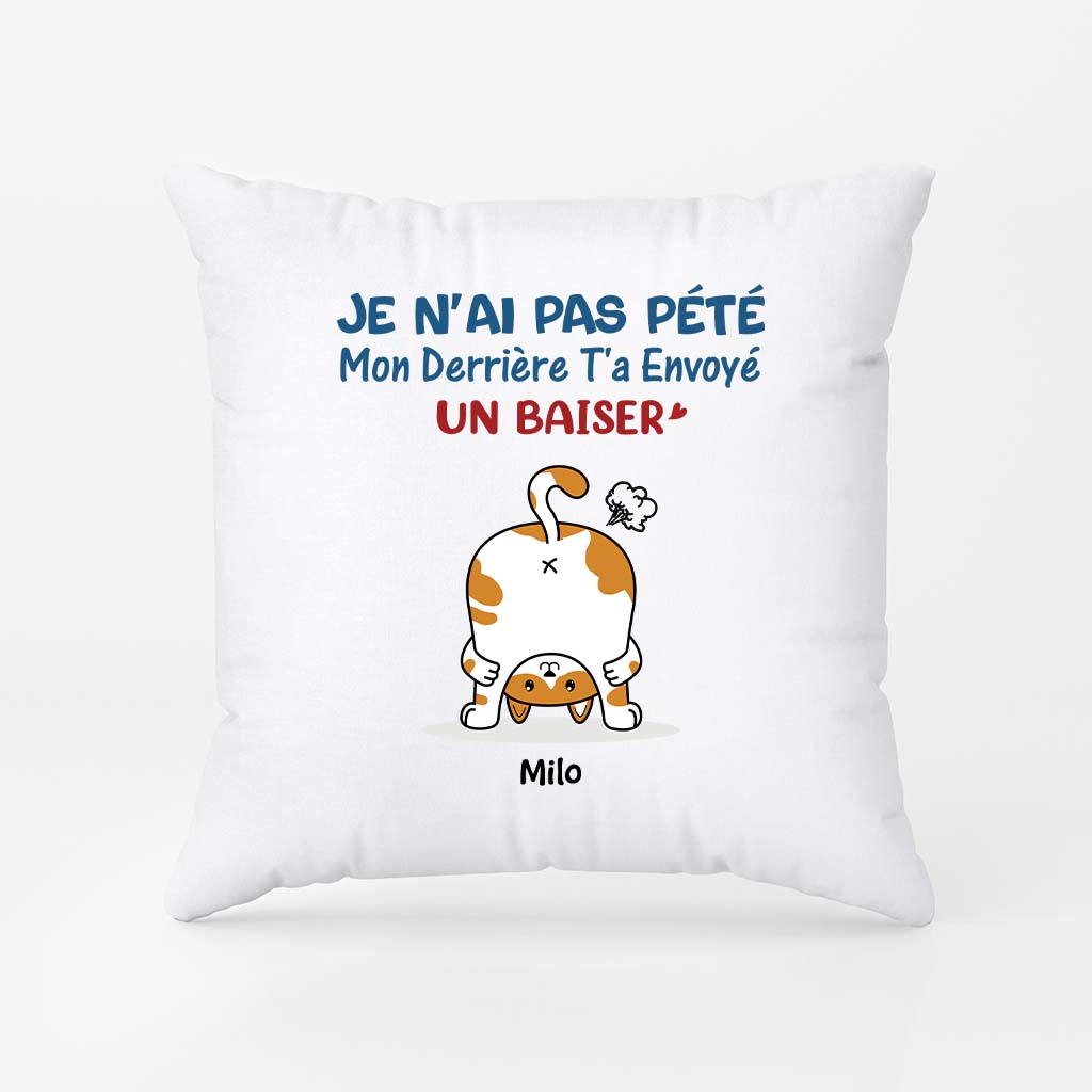 2826PFR2 mon derriere ta envoye un baiser version chat coussin chat personnalisable