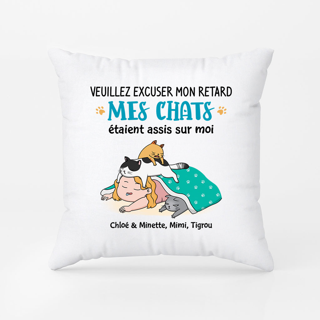 2827PFR1 mes chats etaient assis sur moi coussin motif chat personnalise