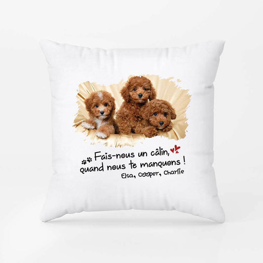 2840PFR2 fais moi un calin quand je te manque coussin personnalise chien avec photo