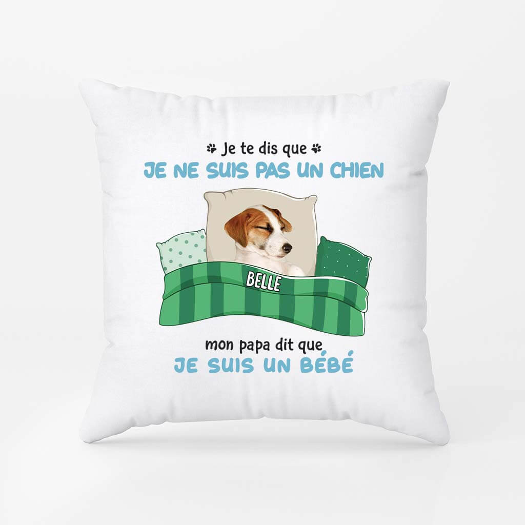 2853PFR2 je te dis que je ne suis pas un chat coussin chat personnalise_d70a0cff 8f6e 4c79 ba78 7a128b271e38