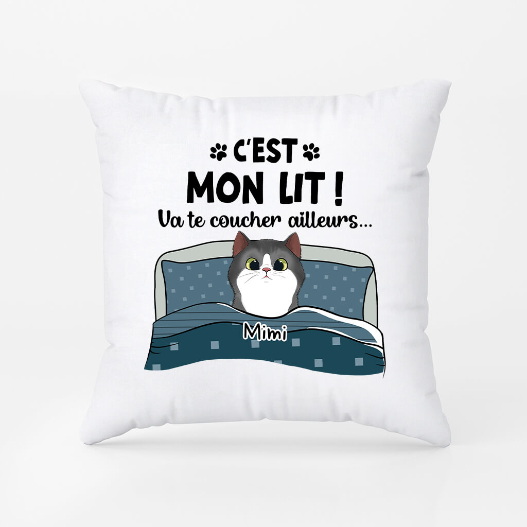 2855PFR2 va te coucher ailleurs version chat coussin personnalise pour chat_d96149fb cf9a 42ca 9db0 f6b8f87da69b