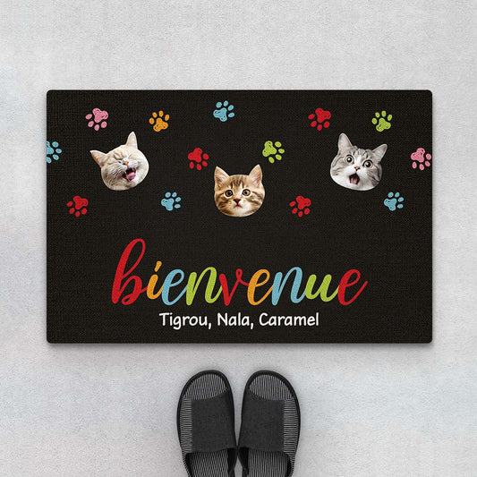 2890DFR1 bienvenue version visages de chats paillasson personnalisable chat