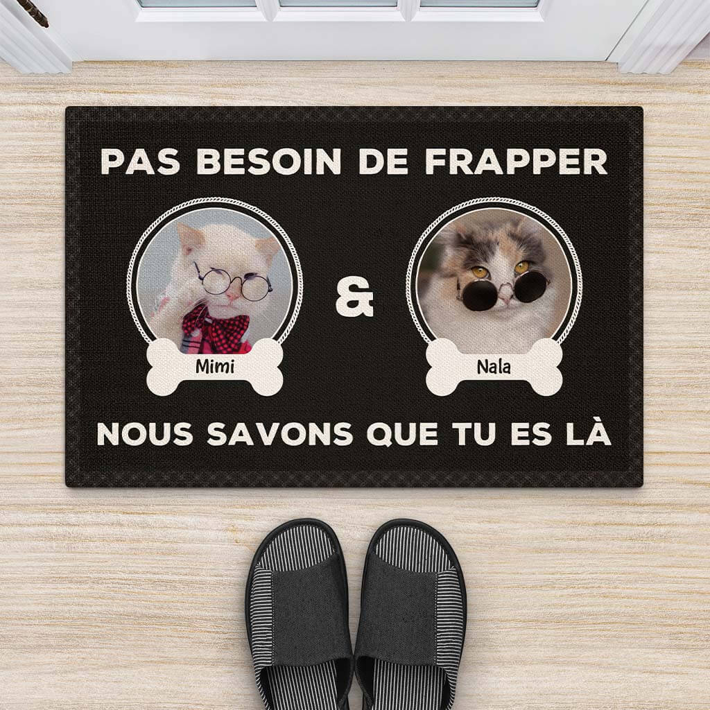 2892DFR2 inutile de sonner version photo de chat paillasson chat personnalise