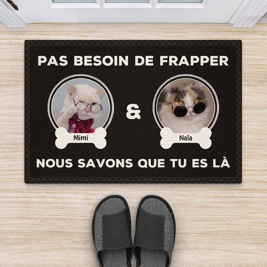 2892DFR2 inutile de sonner version photo de chat paillasson chat personnalise