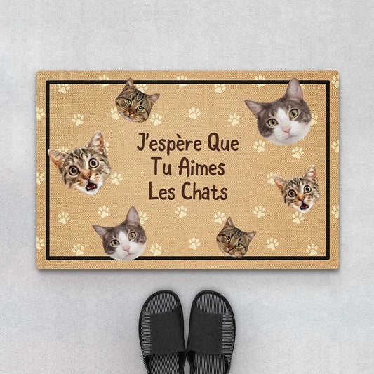 2901DFR1 jespere que tu aimes les chats avec visages paillasson personnalise avec chat