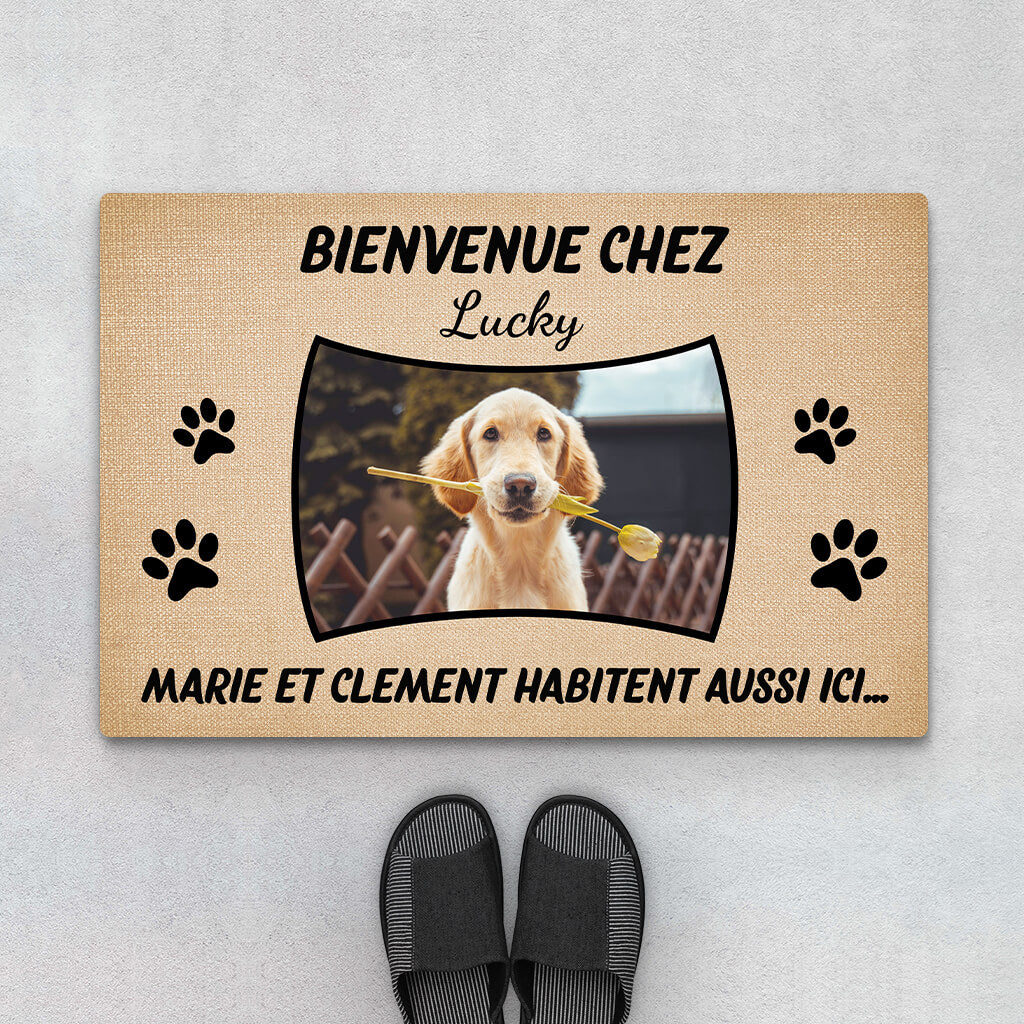 2911DFR1 les chiens habitent aussi ici avec photo paillasson chien personnalisable