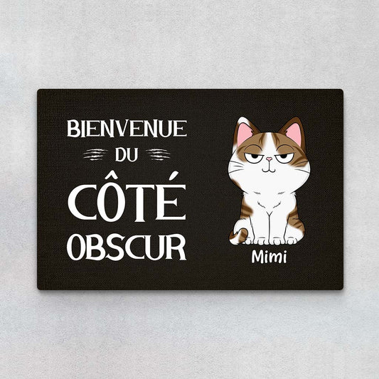 2915DFR1 bienvenue du cote obscur version chat tapis chat personnalise