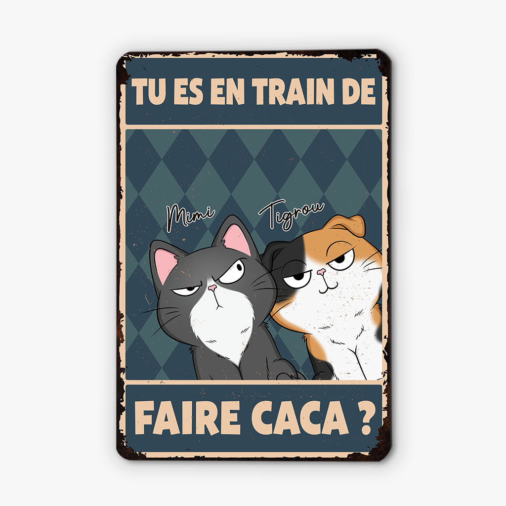 2951EFR2 tu es en train de faire caca version chats plaque de porte personnalisee