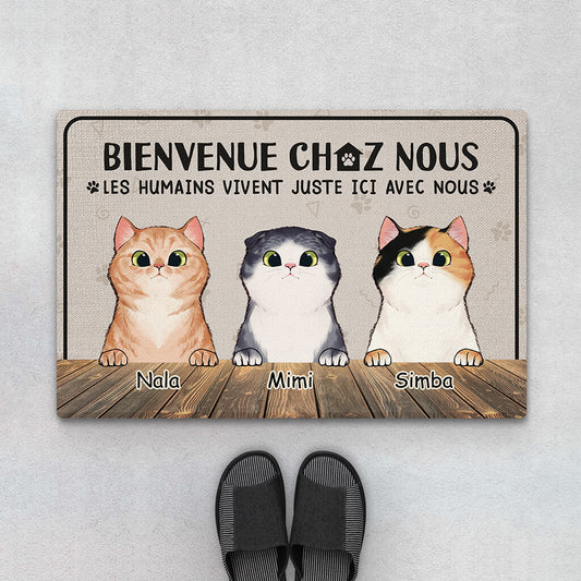 2955DFR1 les humains vivent juste ici avec nous version chats paillasson chat personnalise