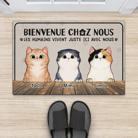 2955DFR2 les humains vivent juste ici avec nous version chats paillasson chat personnalise